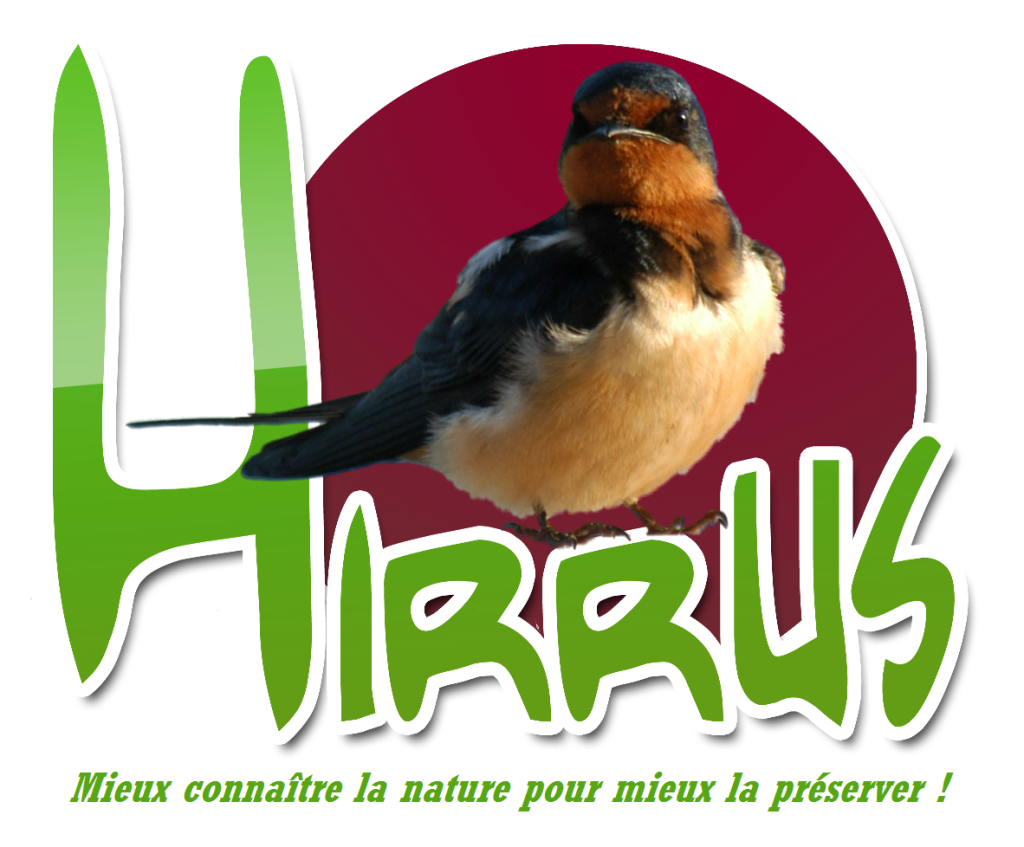 Logo Hirrus