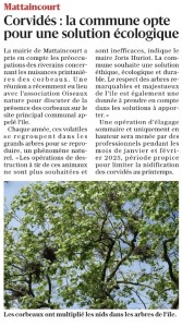 Mattaincourt - Corvidés la commune opte pour une solution écologique - Vosges Matin 9 juin 2024