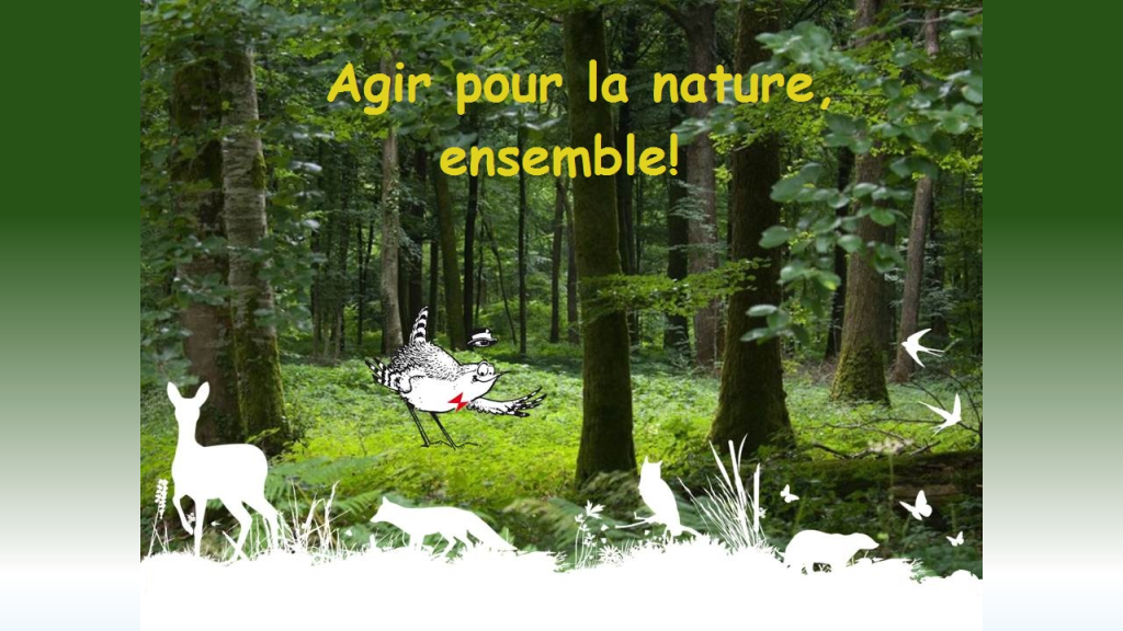 Oiseaux Nature vous invite!